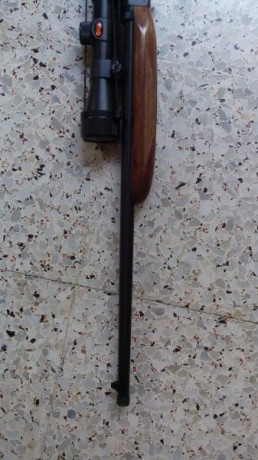 Carabina Norinco .22lr. Desmontable en dos pedazos, copia de Browning SA .22. Muy preciso y fiable. 

 00