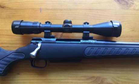 Vendido

Rifle Thompson Center Venture calibre 338 WIN , de polimero con visor Bushnell Elite 3200 3-9x40 00
