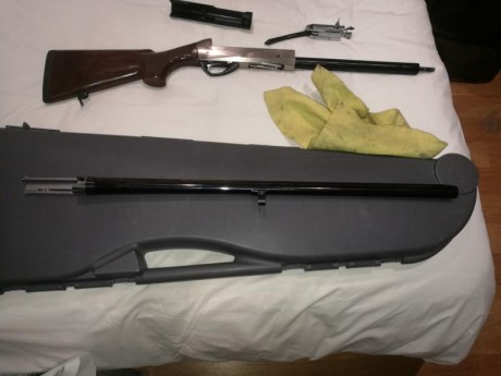 Vendo, escopeta Rafaello Crio, con tres crio choques: dos, tres, y cuatro estrellas.
la vendo por 1000€.
Escopeta 00