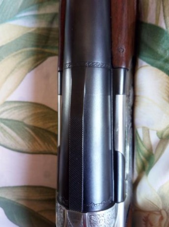 Vendo peeciosa escopeta de cañones superpuestos marca Beretta, modelo 686.
Choques intercambiables Briley 132