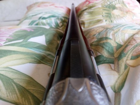Vendo peeciosa escopeta de cañones superpuestos marca Beretta, modelo 686.
Choques intercambiables Briley 131