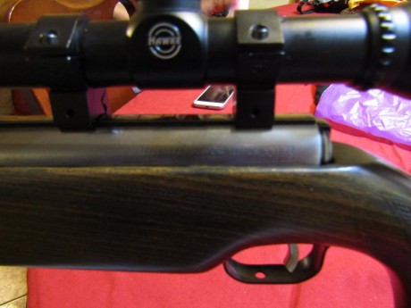 Hola a todos, tengo dos Feinwerkbau Sport, uno es el 124 en calibre .177, y el otro un 127 en calibre 00