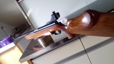 Hola a todos, tengo dos Feinwerkbau Sport, uno es el 124 en calibre .177, y el otro un 127 en calibre 30