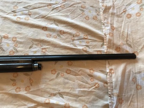 VENDIDA SE PUEDE BORRAR Vendo escopeta browning Auto 5 calibre 16/65.
Es de antes de 1920.
Funciona perfectamente.
Se 01