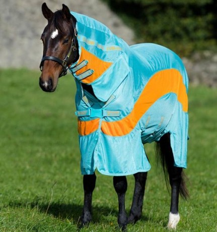 Cambio mantas para caballos marca Horseware, varios modelos, son de invierno y de verano. 
Todas nuevas 02