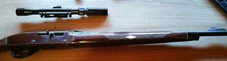 Vendo carabina Remington del calibre 22 L.R., con capacidad para 14 cartuchos que se introducen por la 02