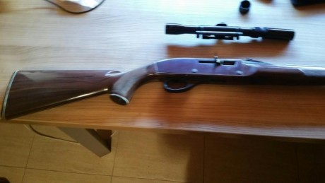 Vendo carabina Remington del calibre 22 L.R., con capacidad para 14 cartuchos que se introducen por la 01