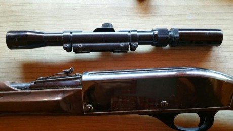 Vendo carabina Remington del calibre 22 L.R., con capacidad para 14 cartuchos que se introducen por la 00