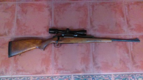 Vendo rifle de cerrojo Brno modelo Batue 550, en calibre 9'3 x 63, ideal para monterías y rececho de venados 02