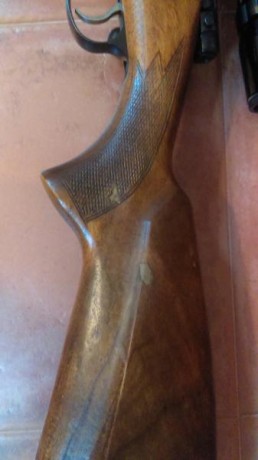Vendo rifle de cerrojo Brno modelo Batue 550, en calibre 9'3 x 63, ideal para monterías y rececho de venados 10