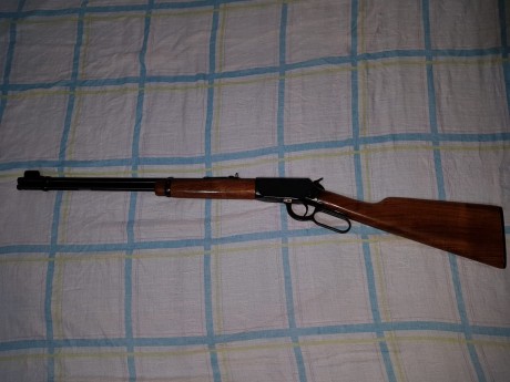 . 81