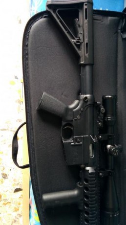 Vendo Carabina S&W MP 15-22 MOE  he pensado en venderlo ya que no lo uso.

Mando fotos interesados.


 41