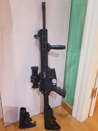 Debido a que me gustaría centrarme enteramente a ipsc, voy a ir poniendo a la venta las armas que no utilizo.
La 01