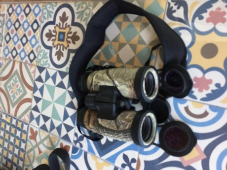 Bushnell 10X42 Trophy XLT. 150€
Prismas rectos Bak-4 que ofrecen una visión clara, brillante y nítida 10