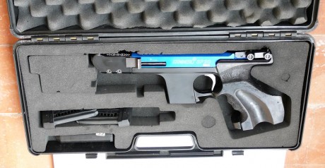 Se vende hammerli SP20 RRS, calibre .22lr, el arma viene con dos cargadores, la cacha es talla L, tiene 01