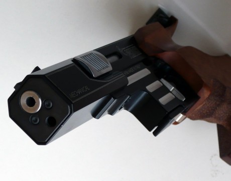 Se vende pardini SP22 calibre .22lr, viene con dos cargadores (uno está sin usar), la cacha es talla M, 21