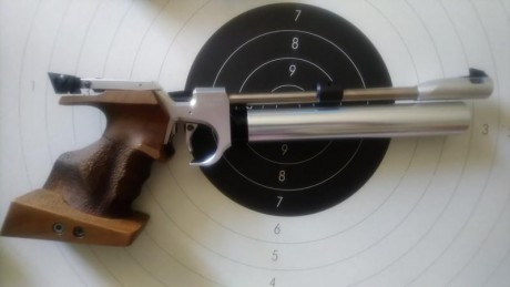 Vendo pistola Steyr Lp2 impecable. Dos empuñaduras, una XS y otra Morini talla M. Dos botellas con caducidad 00