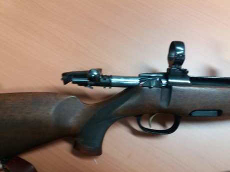 VENDO RIFLE MANNLICHER STEYER 30-06 EN MUY BUEN ESTADO TIENE MONTURA Y ANILLA DE APPEL. TODO SOLO POR 01