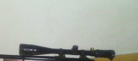 Bases y anillas de 1" optilock para tikka  
80 euros puestos en casa 00