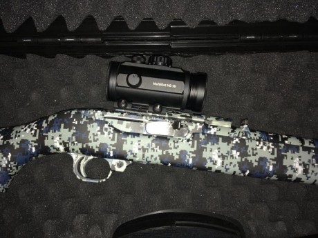 Vendo Ruger 44 Carbine prácticamente sin uso, equipado con punto rojo Delta Mil Dot 1x36 (recién comprado 02