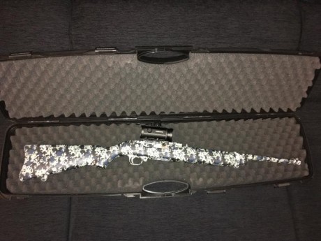 Vendo Ruger 44 Carbine prácticamente sin uso, equipado con punto rojo Delta Mil Dot 1x36 (recién comprado 00