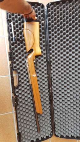 Se vende por no dar uso carabina 22lr modelo anschutz 2007/2013 de cañon corto y culata BR seminueva.

Se 02