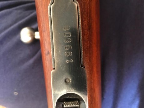 Vendo este Mosin Nagant en bastante buen estado, maderas al aceite
Numeraciones coincidentes, precio 300€ 10