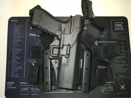 Vendo FUNDA TÁCTICA DE PERNERA BLACKHAWK SERPA NIVEL 2 - NEGRA (original no copia)
Para GLOCK 17. 
Prácticamente 00