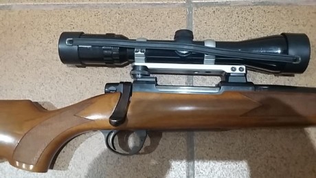 Hola a todos.Pedir perdon lo primero por confundir la marca del rifle. Estas cosas pasan cuando se hacen 01