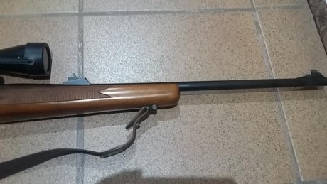 Hola a todos.Pedir perdon lo primero por confundir la marca del rifle. Estas cosas pasan cuando se hacen 11