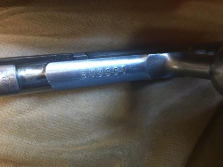 Vendo este Mosin Nagant en bastante buen estado, maderas al aceite
Numeraciones coincidentes, precio 300€ 70