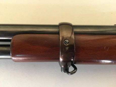 Un buen amigo vende este rifle “Tigre” del 44/40, en un estado de conservación excepcional, con una gran 20