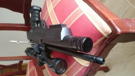 Buenos días.
Quería consultar a ver si alguien conoce esta pistola PCP que aparte de verse grande y pesada(1.6 91
