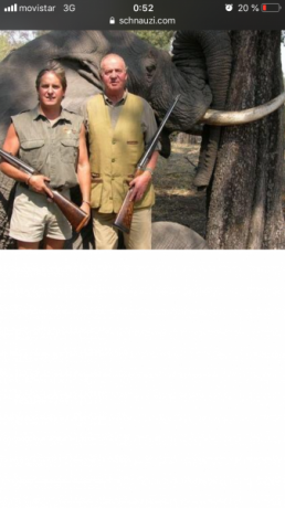 Alguien conoce y ha probado el visor Avistar, en concreto el 3-12x56 o el 2,5-10x50?
Qué tal la calidad 140