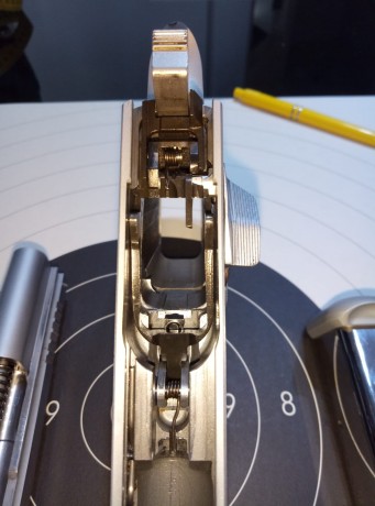 Hola, se vende pistola Tanfoglio Limited custom 9mm por 650 € envío incluido en Peninsula. 
Esta guiada 11