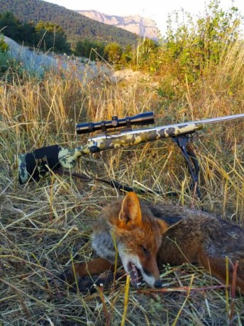 En vista que el Sako no se vende me lo quedo yo y pongo en venta el Alaskan.
El conjunto está compuestos 32