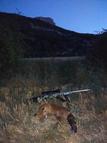 En vista que el Sako no se vende me lo quedo yo y pongo en venta el Alaskan.
El conjunto está compuestos 31