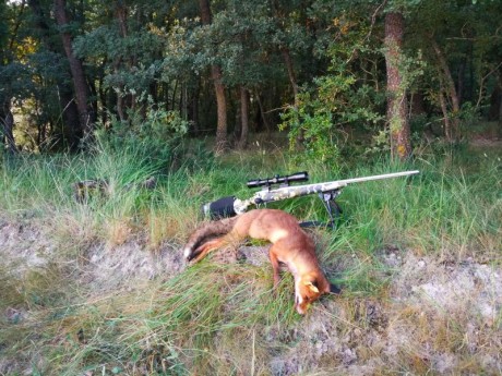 En vista que el Sako no se vende me lo quedo yo y pongo en venta el Alaskan.
El conjunto está compuestos 30