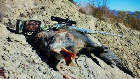 En vista que el Sako no se vende me lo quedo yo y pongo en venta el Alaskan.
El conjunto está compuestos 42