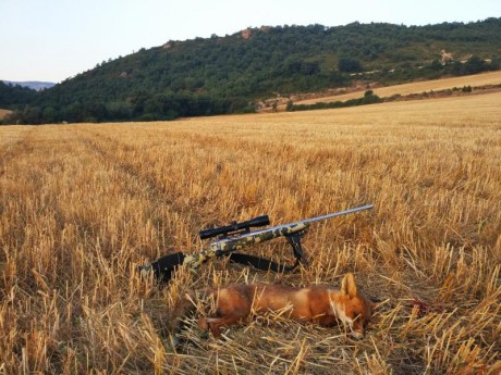 En vista que el Sako no se vende me lo quedo yo y pongo en venta el Alaskan.
El conjunto está compuestos 41