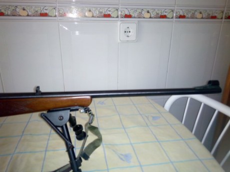 Hola, vendo mi carabina de cerrojo anschuzt modelo 1915-1916, el motivo es que la compré a un compañero 12