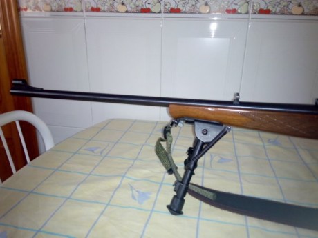 Hola, vendo mi carabina de cerrojo anschuzt modelo 1915-1916, el motivo es que la compré a un compañero 21