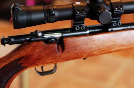 VENDO CARABINA RHENUS 22 WMR en perfecto estado.

La vendo porque no la uso. Se vende sin visor y sin 01