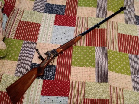 Vendo las siguientes armas largas:

*Sharp Perdersoli cal.45-70 (no se el modelo exacto) pero creo que 02