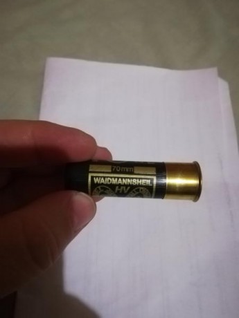 Pues eso, mñn lunes recojo de mi intervención de armas una benelli 201 sl 80 con choke fijo de tres estrellas 21