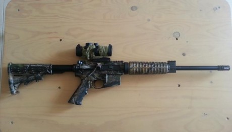 RESERVADO/VENDIDO


VENDO S&W AR15 en 300BLK/whisper (marcaje del 2015) unico propietario, esta guiado 02