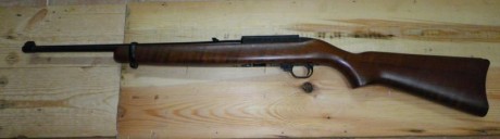 Buenas tardes.
Vendo carabina Ruger 10/22 con dos cargadores de 10 disparos.
La carabina semiautomática 02
