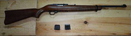 Buenas tardes.
Vendo carabina Ruger 10/22 con dos cargadores de 10 disparos.
La carabina semiautomática 01