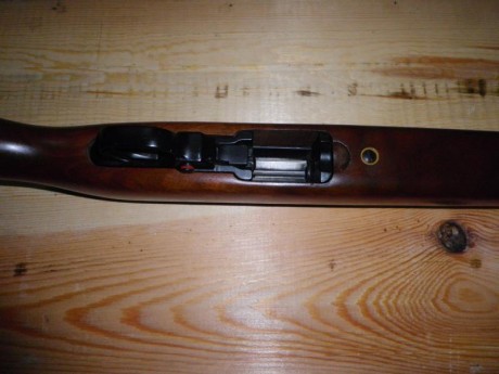 Buenas tardes.
Vendo carabina Ruger 10/22 con dos cargadores de 10 disparos.
La carabina semiautomática 10