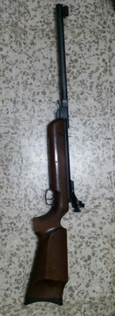 Se vende carabina Walther LGV Olimpia.

Funciona perfectamente, pero necesita alguna restauración, el 00